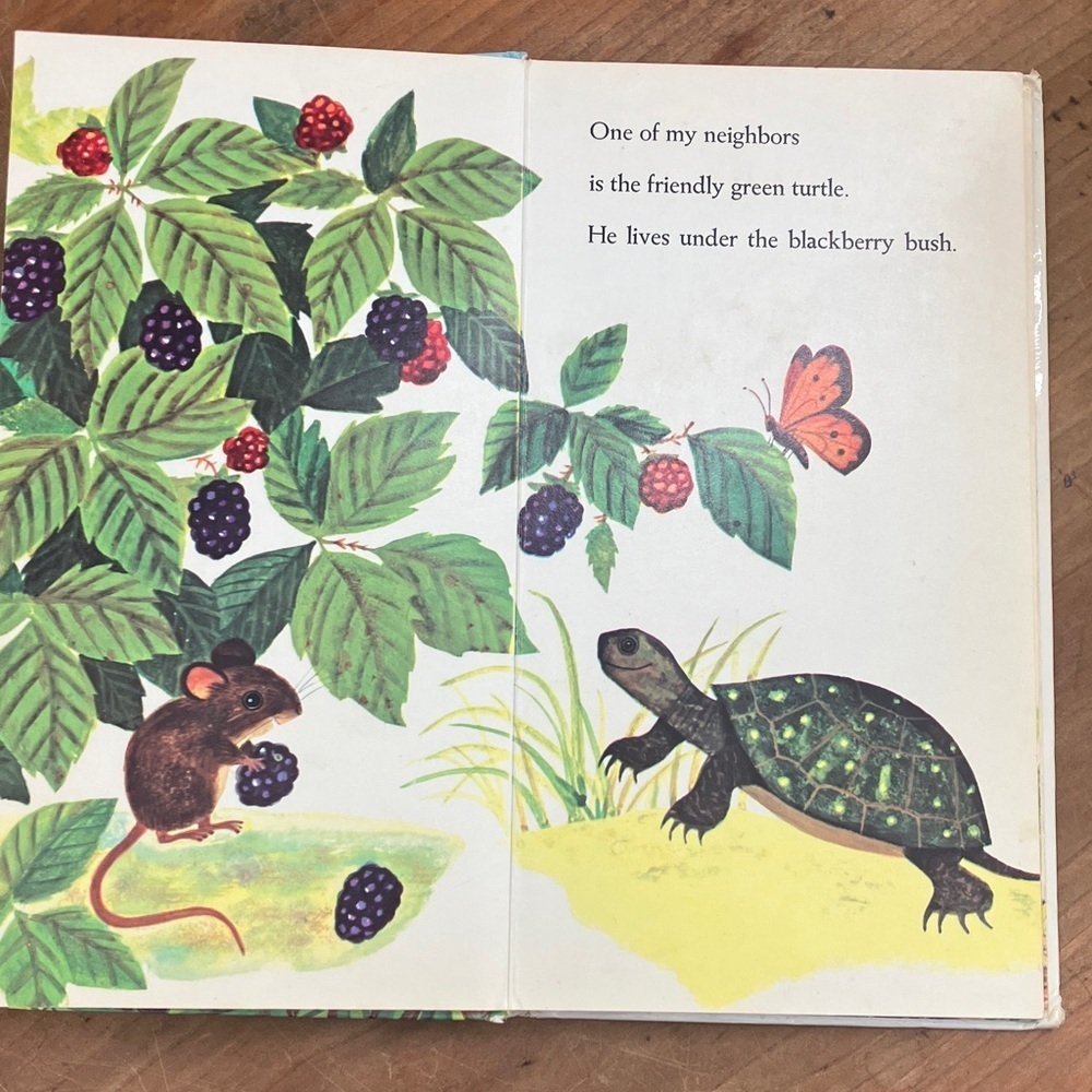 Vintage board book I Am a Mouse Children's Book by Ole Risom - Picture 7 of 16
